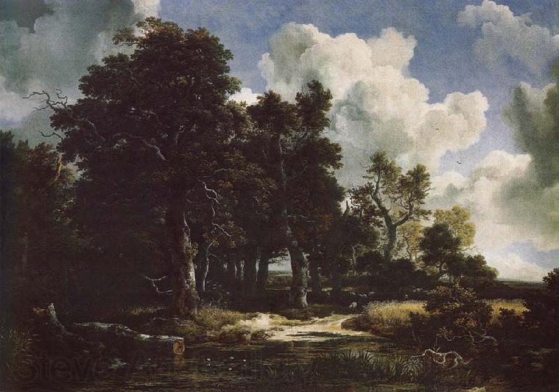 Jacob van Ruisdael Edge of a Forest with a grainfield Germany oil painting art